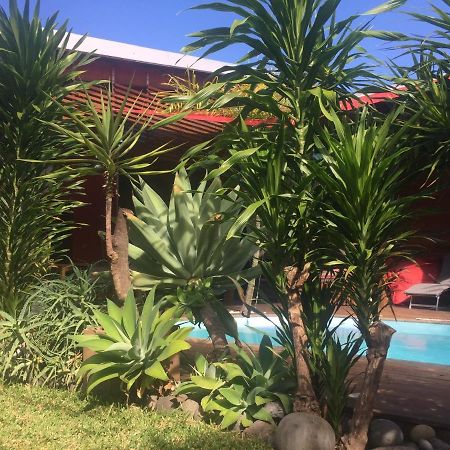 Ti Koin Trankil Belle & Spacieuse Villa Tropicale Saint Pierre Dış mekan fotoğraf